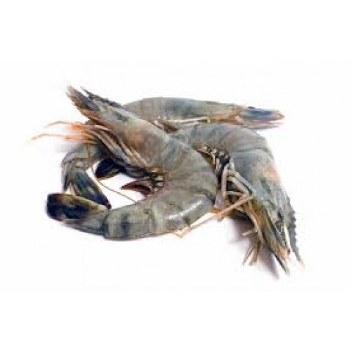 Prawns (Large)